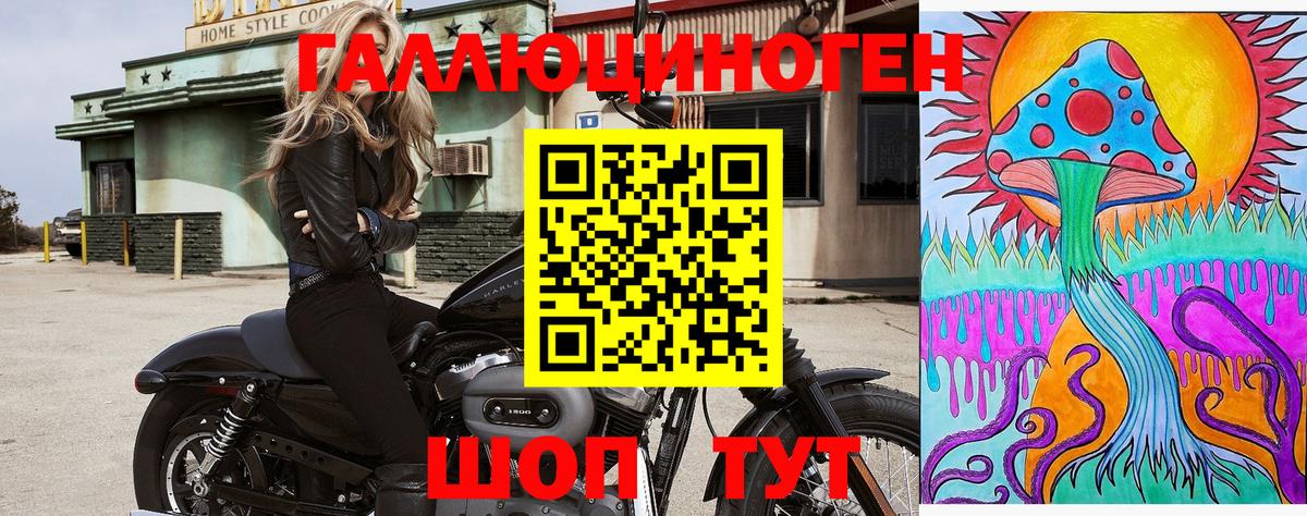 где купить наркоту  Псилоцибиновые грибы GOLDEN TEACHER  Вход с VPN  Среднеуральск 